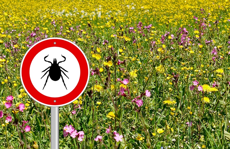 5 Tips to Prevent Tick Bites This Summer