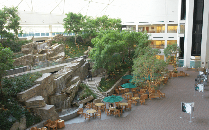 Large multi-level lobby with waterfalls and trees